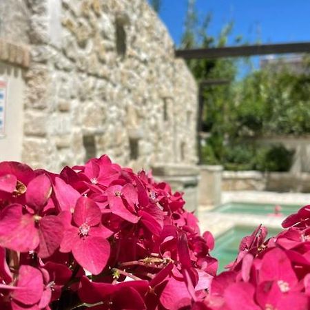Carpofoli Corfu Apartment Corfu  Ngoại thất bức ảnh