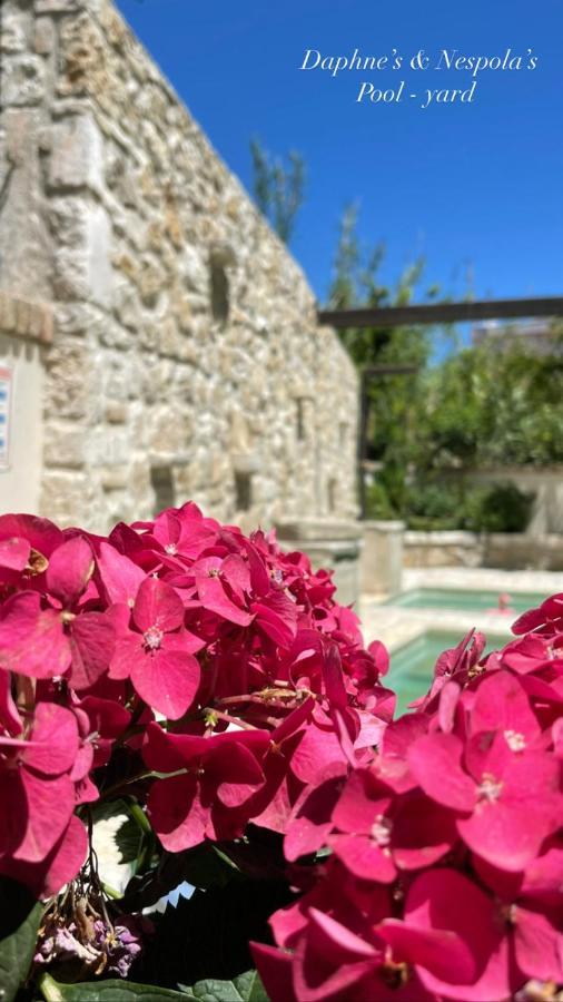 Carpofoli Corfu Apartment Corfu  Ngoại thất bức ảnh